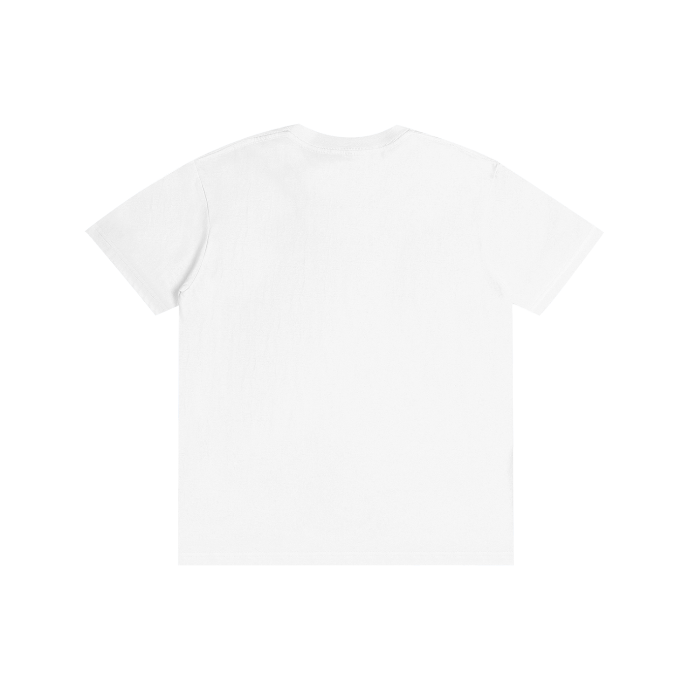 Recovery T-shirt ,Sobriety T-shirt ,Men's T-shirt ,Women's T-shirts ,T-shirt ,Addiction Recovery 